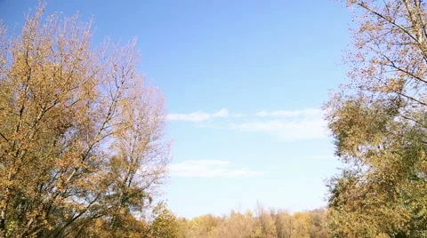 Man listening to music using headphones while sitting by lake Stock Footage 59554688