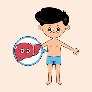 Man with liver icon in a bubble. Vector hand drawn doodle style traditional c Stock Illustration