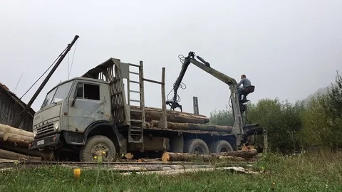 Man load the logs to the track Stock Footage 69832752