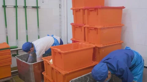 Man loading containers with curd Video stock 161510509
