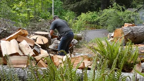 Man loading firewood in wheelbarrow  in backyard in Canada for burning in Stock Footage 131078926