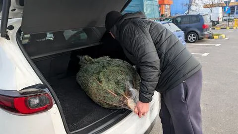 Man Loading Wrapped Christmas Tree Into Car Trunk After Holiday Purchase Stock Photos