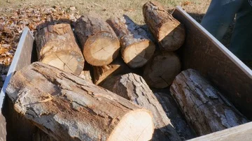 A Man Loads Firewood Logs into a Wheelbarrow in 4K Stock Footage 85973136