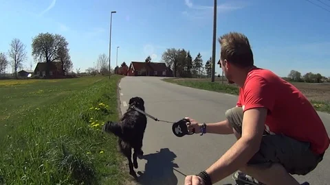 Man On Longboard With Dog Stock Footage 97172092