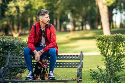 Man looking aside distracted while sitting on a bench with a dog in a park Stock Photos