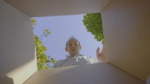 Man looking into a box, reaching both hands with curiosity and excitement o.. Stock Footage 295194425