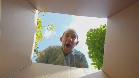 Man looking into a box with surprise and curiosity, expressing awe outdoors.. Stock Footage 295194434