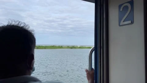 Man looking at coast scenery from a class 2 train compartment Covid times Stock Footage 203484093