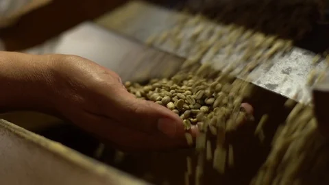 Man looking at coffee bean brewing machine 動画素材 103803699