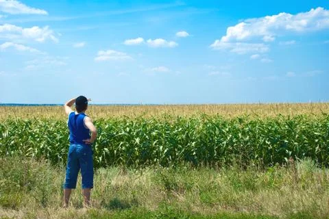 Man looking at the field Stock Photos
