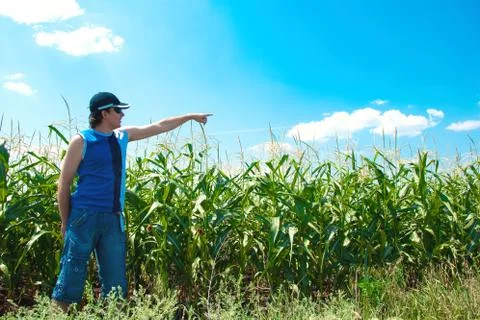 Man looking at the field Stock Photos