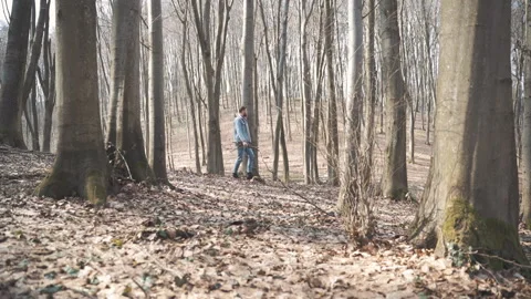 A man looking for firewood in the forest to make a fire Stock Footage 153030766