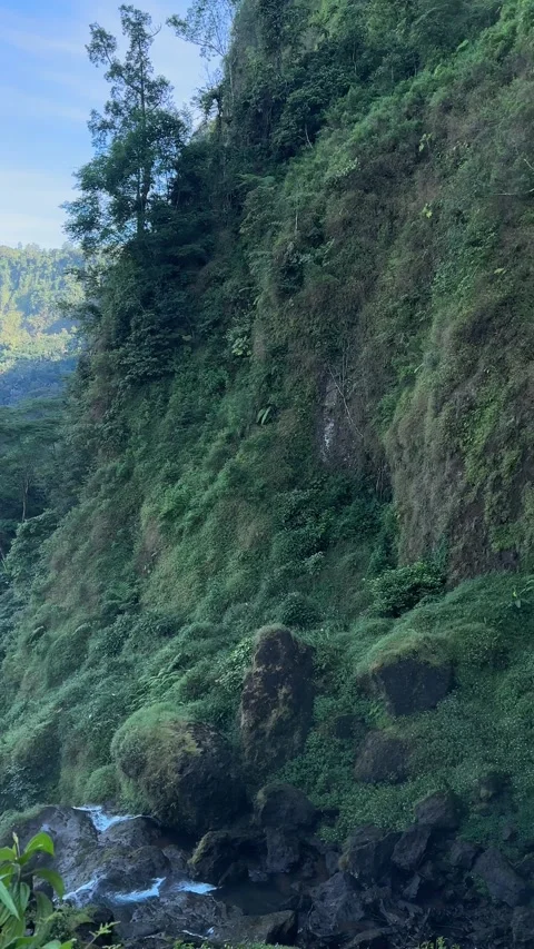 Man Looking at Green Valley Panning Down to Tall Waterfall Tropical Forest 스톡 동영상 323909888