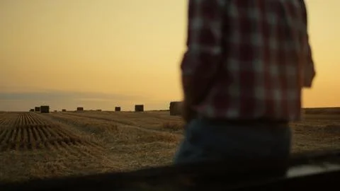 Man looking haystack field after wheat harvesting. Unknown agronomist at sunset Stock Photos