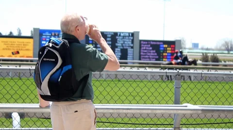 Man Looking At Horses Stock Footage 37995723