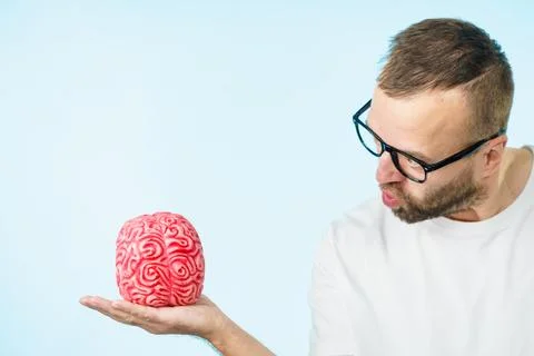 Man looking at human brain Stock Photos