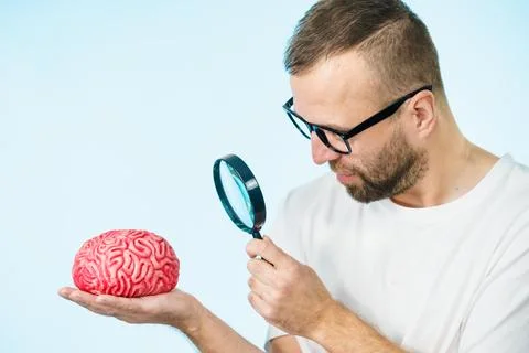 Man looking at human brain Stock Photos