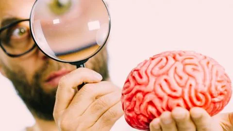 Man looking at human brain Stock Photos