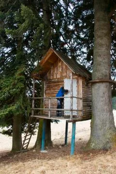 Man looking inside a Tree House Stock Photos