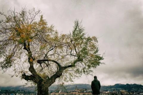 Man looking at the landscape next to a large tree Foto stock
