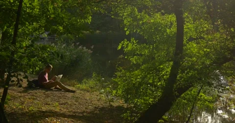 Man Looking at Laptop Screen Put it Away Freelance Programmer Designer Stock Footage 55527748