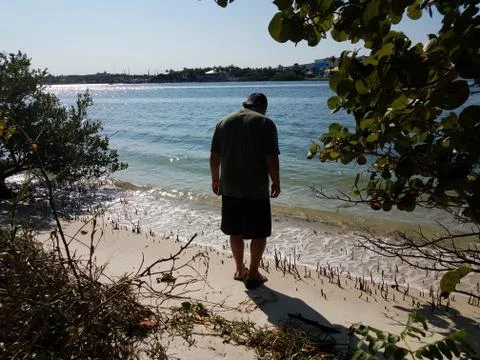 Man looking at mangrove tree roots with water and beach in Florida Stock Photos