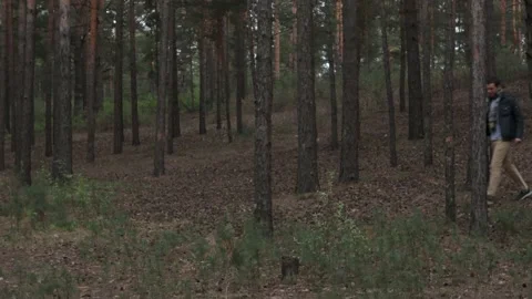 A man is looking for a missing person in the forest. Stock Footage 131132966