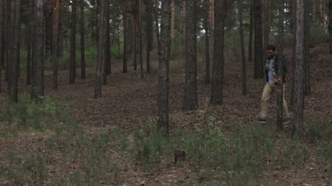 A man is looking for a missing person in the forest. 스톡 동영상 131132990