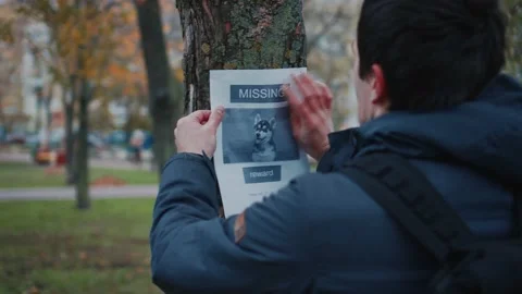 Man looking for a missing pet, posting posters on trees in the park. Missing dog Stock Footage 143977387