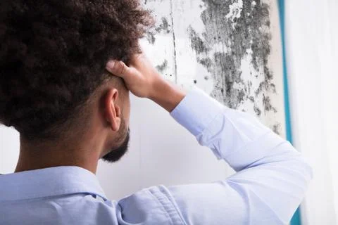 Man Looking At Mold On Wall Stock Photos