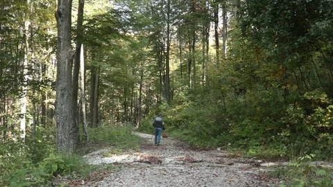 Man Looking For Mushrooms Stock Footage 97632435
