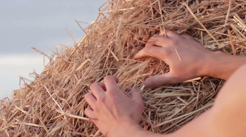 Man looking for a needle in a haystack Stock-Footage 54427372