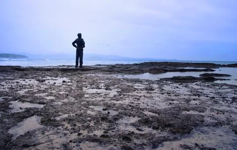 A man looking at the ocean. Watching the waves. Stock Photos