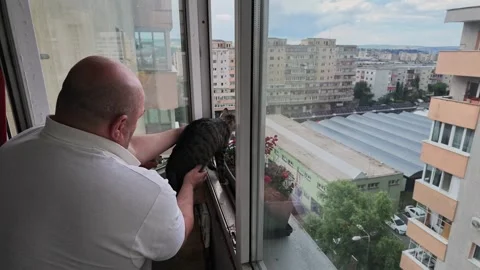 Man Looking Out Apartment Window While Holding His House Cat Vidéo 340165396