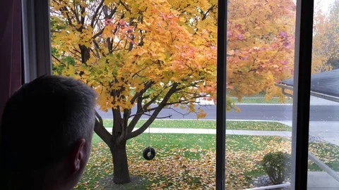 Man Looking out Window in Fall Stock Footage 81374253