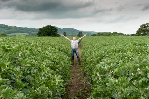 Man Looking at Rain Clouds Outstretched Arms in Middle of Farm Stock Photos