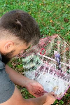 Man looking at a small bird in a cage outdoors. Foto stock