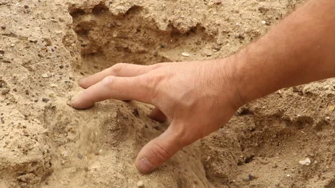 The man is looking for something in the sand Stock Footage 254823592