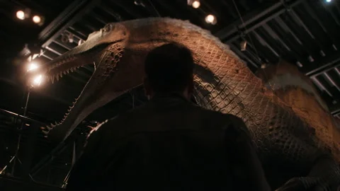 Man looking at a Spinosaurus dinosaur exhibit in a museum Stock-Footage 343319339
