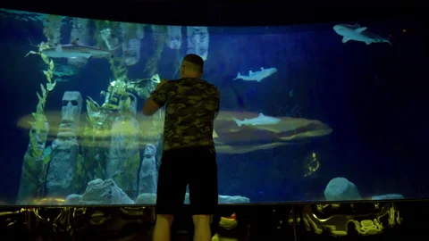 Man looking at stone sculptures in a large aquarium tank Video stock 203957026