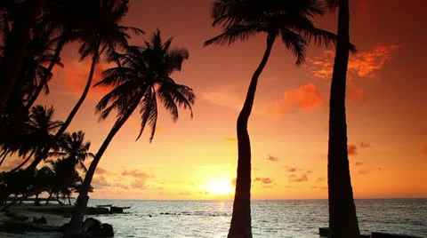 Man looking at sunset Stock Footage 26916325