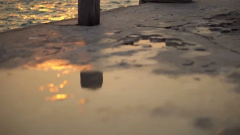 Man Looking At Sunset Over Sea Stock Footage 126259218