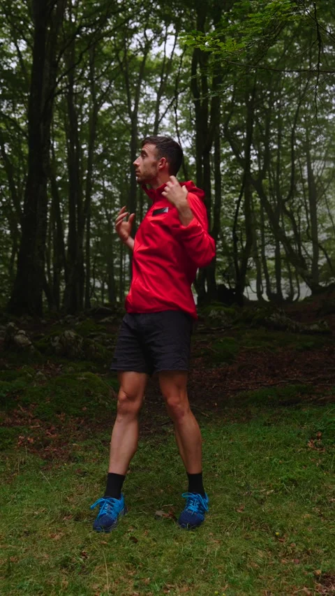 A man looking up surrounded by beech trees. Stock Footage 283288619