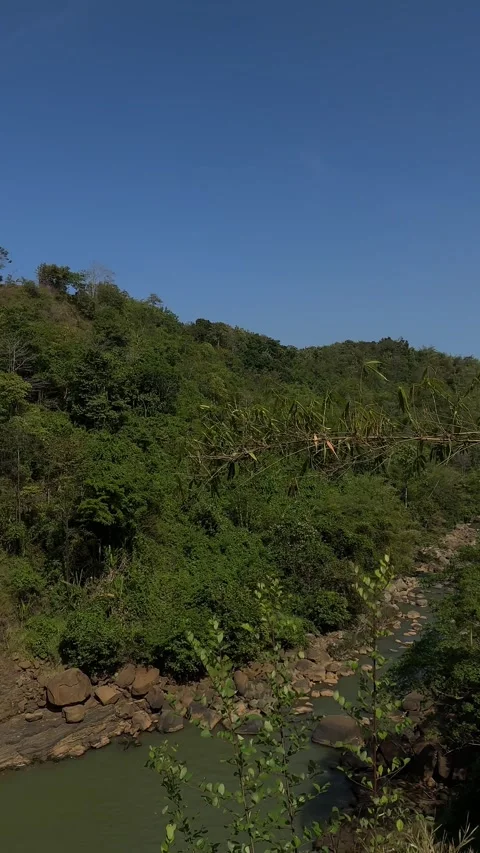 Man Looking Through Binoculars, Panning to Waterfall, Green Forest, Vertical Sho Stock Footage 324772514