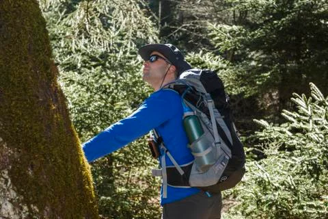 Man looking at tree in the forest Stock Photos