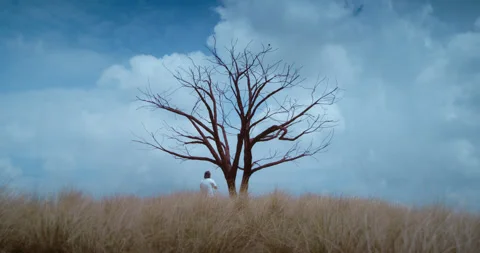 Man looking at a tree made of iron bars surrounded by tall grasses Stock Footage 240814014