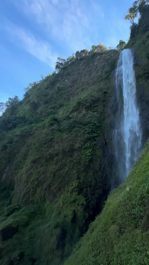 Man Looking at Valley, Camera Pans Up to Tropical Waterfall Vertical Stock-Footage 323910439