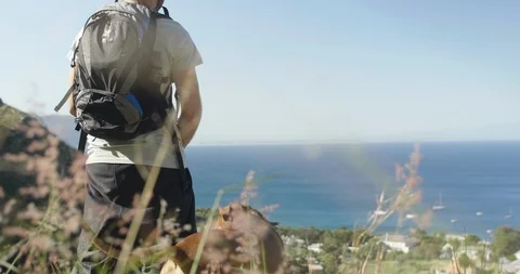 Man looking at view with dog Video stock 120837867