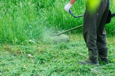 Man looks after a grass. Foto stock