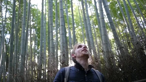 Man Looks Up at Bamboo Forest Stock Footage